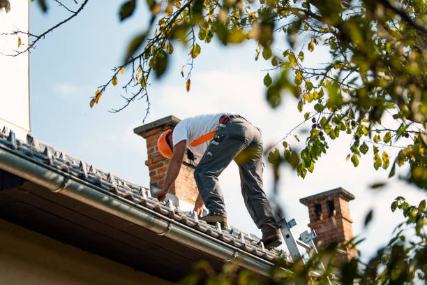 Roof Insulation in East Grand Forks, MN